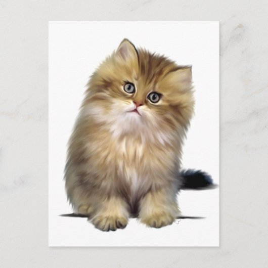 edele Kitten Briefkaarten (Voorkant)