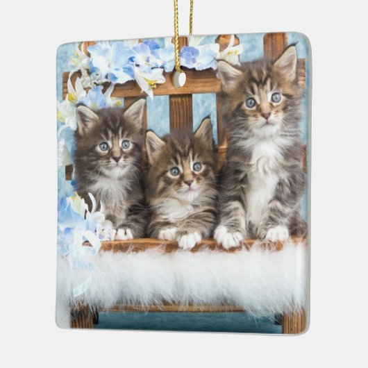 edele mooie kittens keramisch ornament (Links)