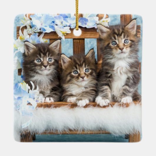 edele mooie kittens keramisch ornament (Achterkant)