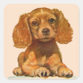 edele spaniel puppy vierkante sticker (Voorkant)