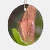 edele vlinder keramisch ornament (Links)