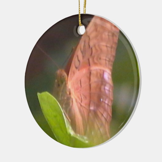 edele vlinder keramisch ornament (Links)