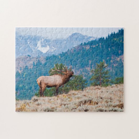 Edelhert (Cervus Elephus) mannetje baltsen Legpuzzel (Horizontaal)