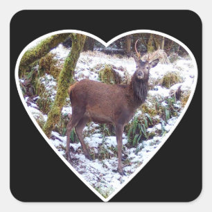 Edelhert in de Sneeuw Winter Natuur Bos Kunst Vierkante Sticker