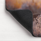 Edelherten in de vroege ochtend, Muismat (Hoek)