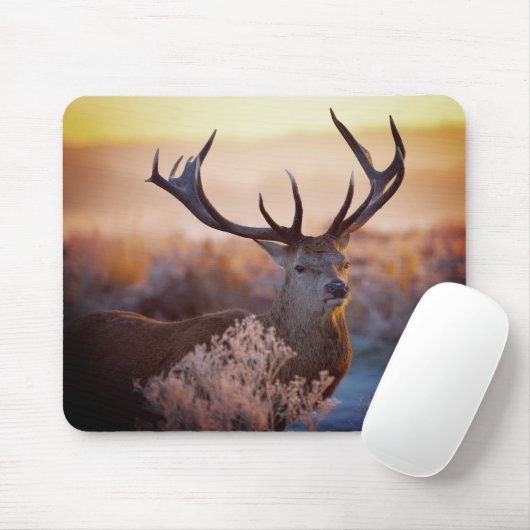 Edelherten in de vroege ochtend, Muismat (Met muis)