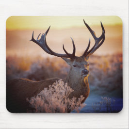 Edelherten in de vroege ochtend, Muismat