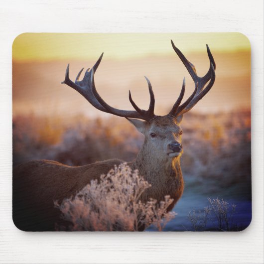 Edelherten in de vroege ochtend, Muismat (Voorkant)