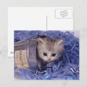 Edelkleurige kat en Kitten-fotokaarten, Gifts, Pos Briefkaart (Voorkant / Achterkant)