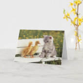 Edelkleurige katten, Kittens Kaarten, Gifts - Aanp Kaart (Gele Bloem)