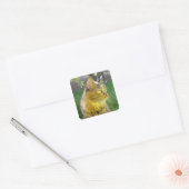 Edeloze Katten stickers (Envelop)