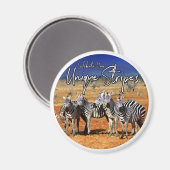 "Edeloze strips" Zebra kunst Magneet (Voorkant / Achterkant)