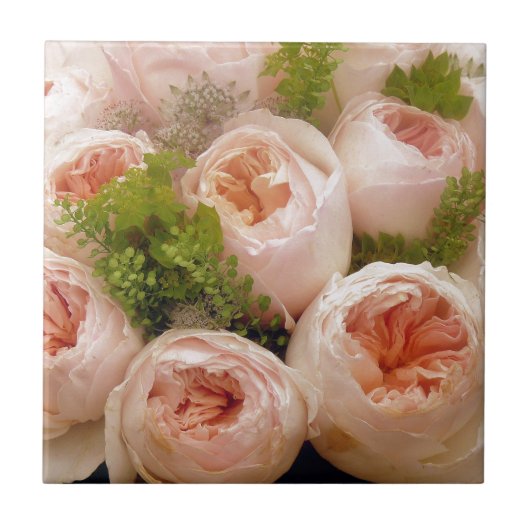 Edelroze rozen tegeltje (Voorkant)
