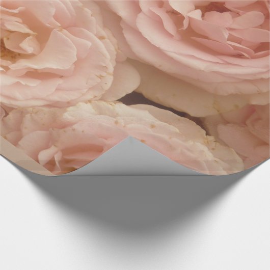 Edelvormige Rozen Verpakkingspapier Cadeaupapier (Hoek)