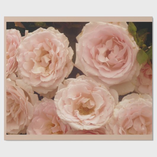 Edelvormige Rozen Verpakkingspapier Cadeaupapier (Vlak)