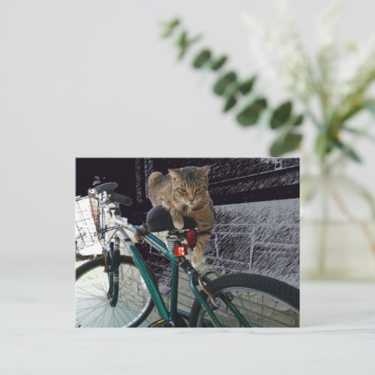 Edelwaardig Kat wacht op eigenaar om te gaan fiets Briefkaart (Staand voorkant)