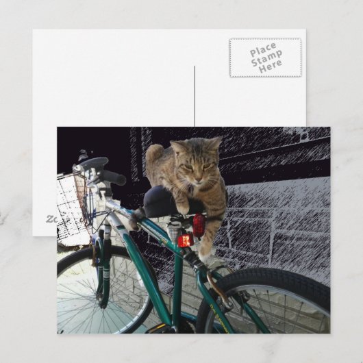 Edelwaardig Kat wacht op eigenaar om te gaan fiets Briefkaart (Voorkant / Achterkant)