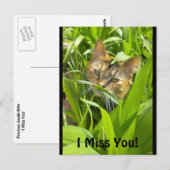 Edelwaardig Oerwoud Kat "vermist" Briefkaart (Voorkant / Achterkant)