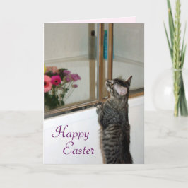 Edelwaardige en mooie Kitten Paaskaart Feestdagen Kaart
