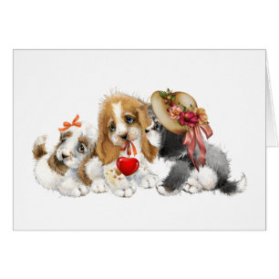 Edelwaardige Puppies