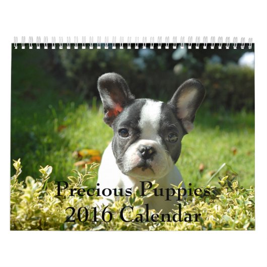 Edelwaardige Puppies 2016 Agenda Kalender (Hoes)