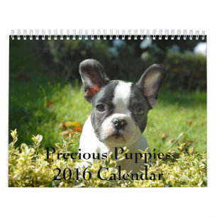 Edelwaardige Puppies 2016 Agenda Kalender