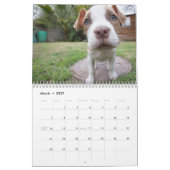 Edelwaardige Puppies 2016 Agenda Kalender (Mar 2027)
