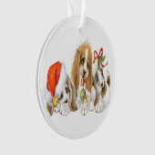 Edelwaardige Puppies Ornament (voorkant)