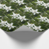 Edelweiss Alpine Flower Cadeaupapier (Hoek)