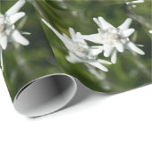Edelweiss Alpine Flower Cadeaupapier (Rol Hoek)