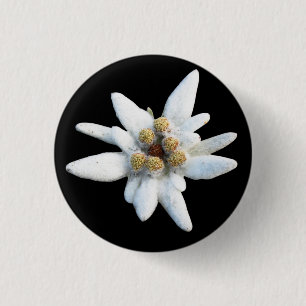 Edelweiss Alpine Flower Ronde Button 3,2 Cm