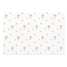 Edelweiss Alpine Wildflower Naam