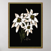 Edelweiss Artwork Print (Voorkant)