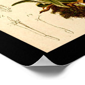 Edelweiss Bloemen  Botanische Illustratie Poster (Hoek)