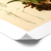 Edelweiss Bloemen  Botanische Illustratie Poster (Hoek)