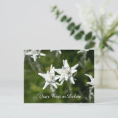 Edelweiss Bloom Briefkaart (Staand voorkant)