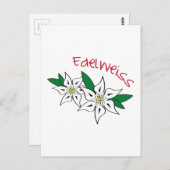 Edelweiss Briefkaart (Voorkant / Achterkant)