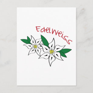 Edelweiss Briefkaart