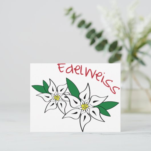Edelweiss Briefkaart (Staand voorkant)
