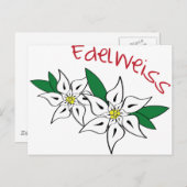 Edelweiss Briefkaart (Voorkant / Achterkant)