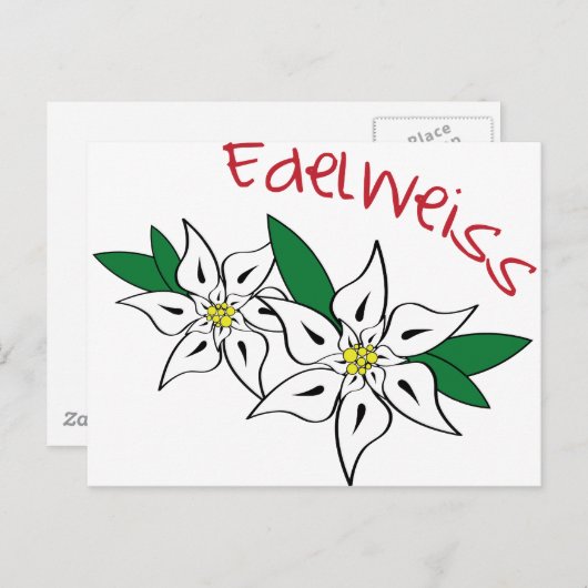 Edelweiss Briefkaart (Voorkant / Achterkant)