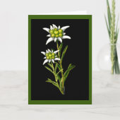 Edelweiss Custom Greeting Card Kaart (Voorkant)