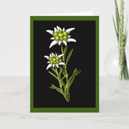 Edelweiss Custom Greeting Card Kaart (Voorkant)