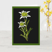 Edelweiss Custom Greeting Card Kaart (Gele Bloem)