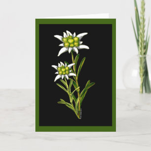 Edelweiss Custom Greeting Card Kaart