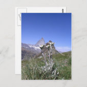 Edelweiss en Matterhorn Briefkaart (Voorkant / Achterkant)