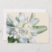 Edelweiss floral Bridal Shower Kaart (Achterkant)