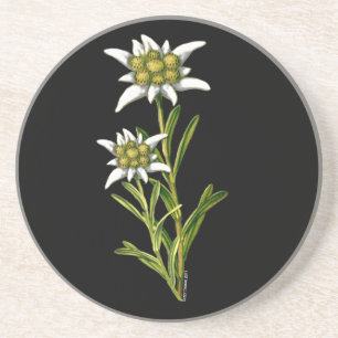 Edelweiss Floral Onderzetter