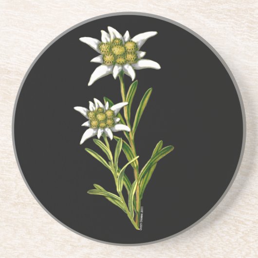 Edelweiss Floral Onderzetter (Voorkant)