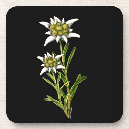 Edelweiss Floral Onderzetter (Voorkant)